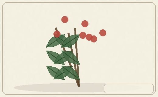 Stylized form diagram for Black mangroves