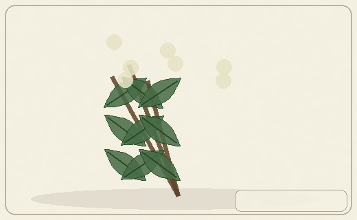 Stylized form diagram for Meadowsweet