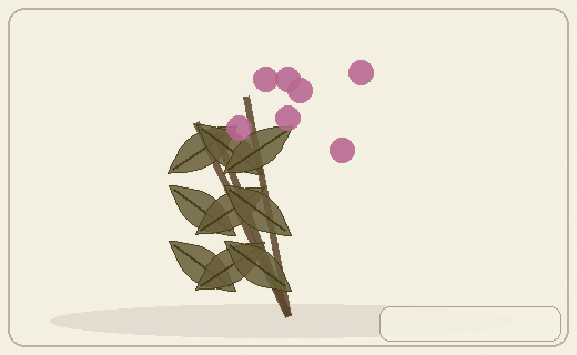 Stylized form diagram for Monkshoods