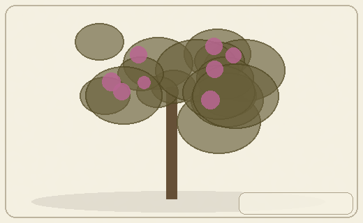 Stylized form diagram for Moringa
