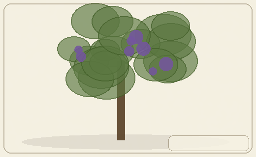 Stylized form diagram for Mulga