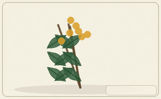 Stylized form diagram for Native tobacco