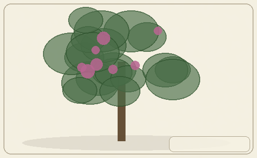 Stylized form diagram for Ngaio