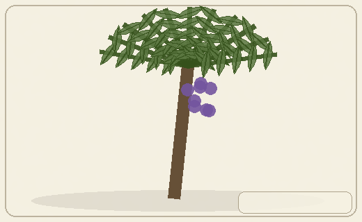 Stylized form diagram for Nipa palm