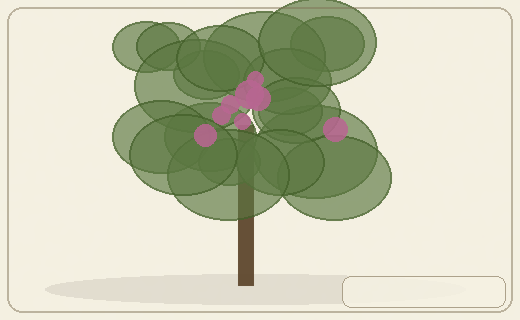 Stylized form diagram for Strychnine tree