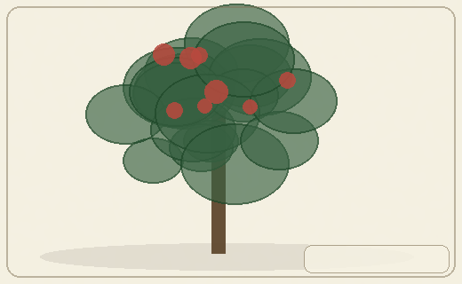 Stylized form diagram for Oaks