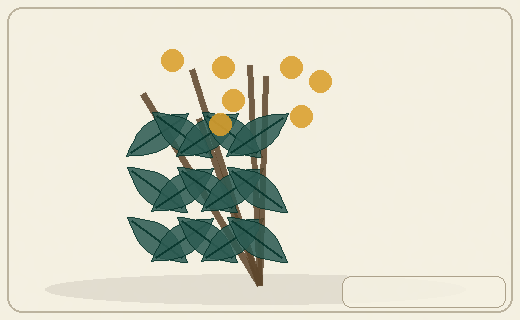Stylized form diagram for Oleander