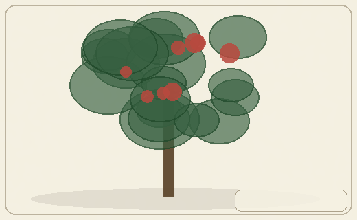 Stylized form diagram for Osage orange