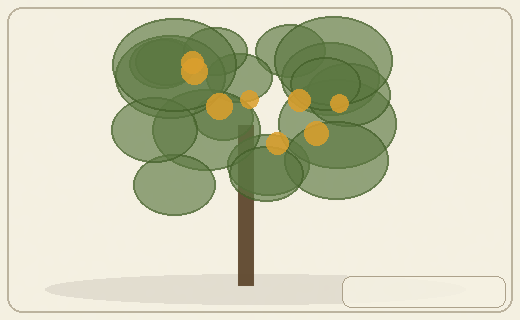 Stylized form diagram for Paper and white birches