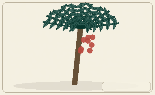 Stylized form diagram for Peach palm
