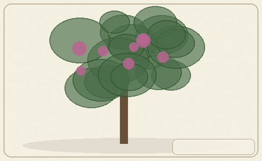 Stylized form diagram for Asian persimmons