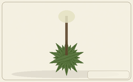 Stylized form diagram for New Zealand flax