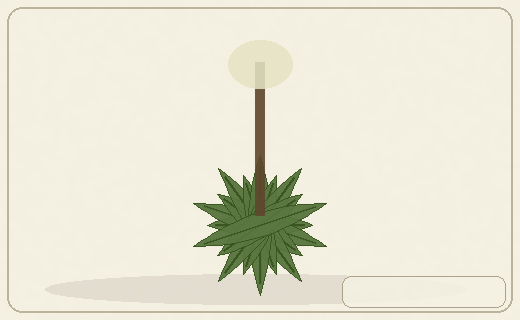 Stylized form diagram for Broadleaf and ribwort plantains