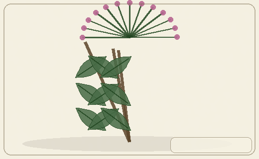 Stylized form diagram for Poison hemlock