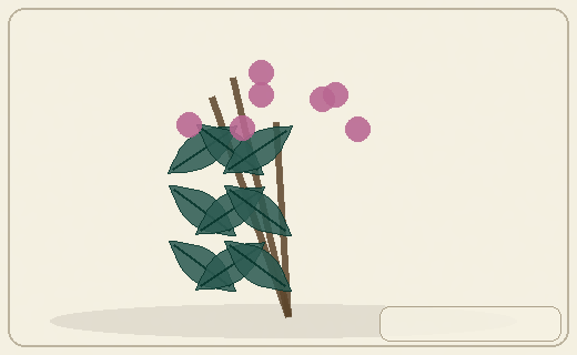 Stylized form diagram for Prairie turnip