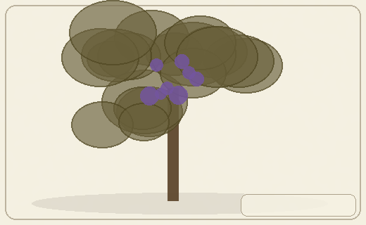 Stylized form diagram for African cherry