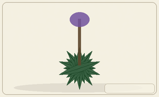 Stylized form diagram for Common purslane