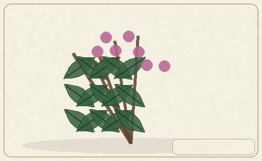 Stylized form diagram for Quandong