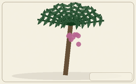 Stylized form diagram for Raffia palms