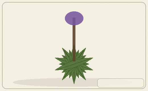 Stylized form diagram for Golden root