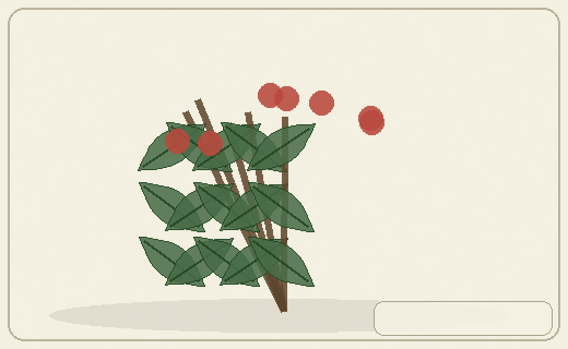 Stylized form diagram for Rosemary