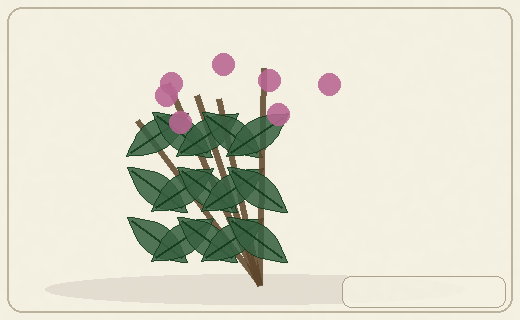 Stylized form diagram for Saltbushes