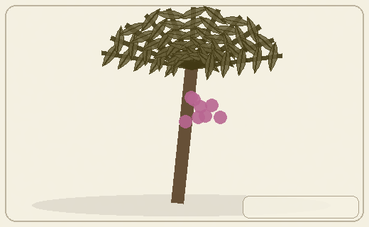 Stylized form diagram for Saw palmetto