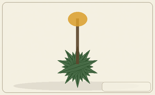 Stylized form diagram for Rock samphire / sea fennel