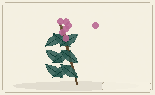 Stylized form diagram for Sea grapes