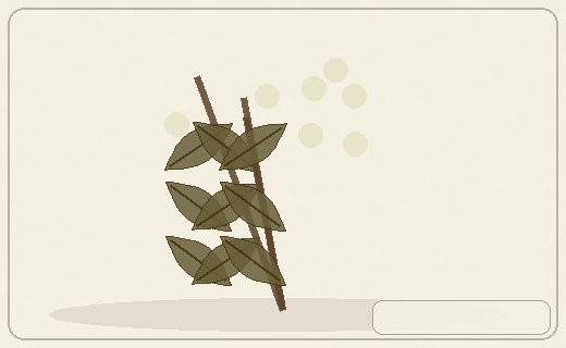 Stylized form diagram for Sea squill