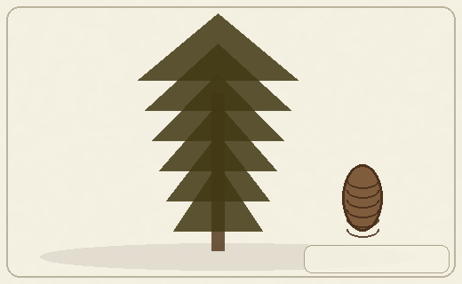 Stylized form diagram for Stone pine