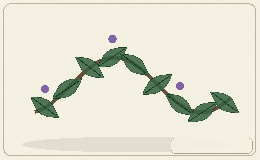 Stylized form diagram for Strophanthus