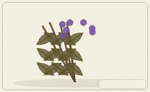 Stylized form diagram for Tea trees
