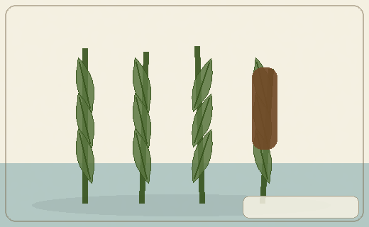 Stylized form diagram for Totora rush