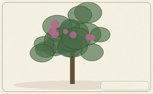 Stylized form diagram for Tropical almond