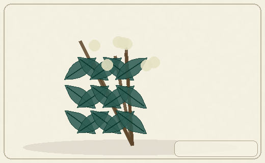 Stylized form diagram for Tutu