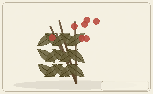 Stylized form diagram for Viburnums