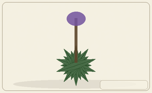 Stylized form diagram for Warrigal greens