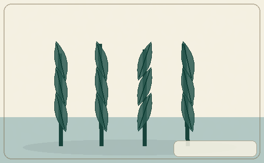 Stylized form diagram for Water chestnut