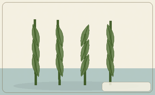 Stylized form diagram for Water spinach