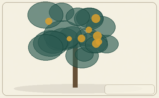 Stylized form diagram for Temperate wattles