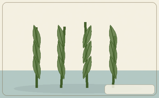 Stylized form diagram for Wild rice