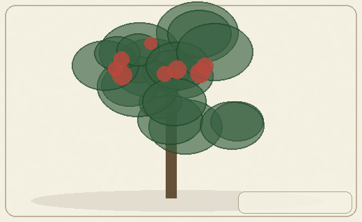 Stylized form diagram for Wild walnuts