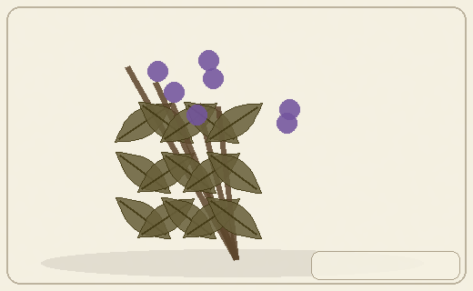 Stylized form diagram for Willows