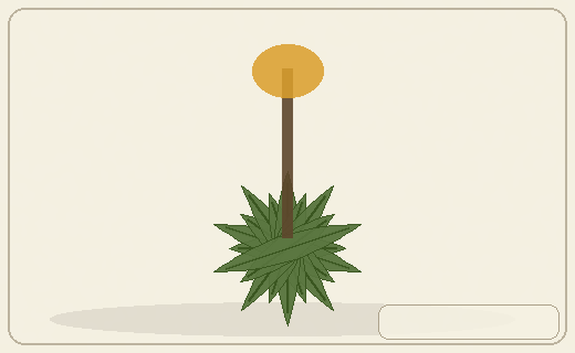 Stylized form diagram for Yuccas